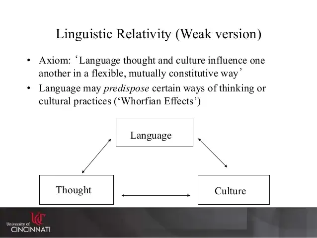linguistic relativity meme