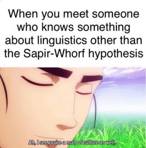 Sapir-Whorf hypothesis meme