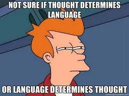 linguistic relativity meme