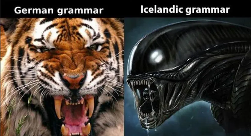 Icelandic (language) meme