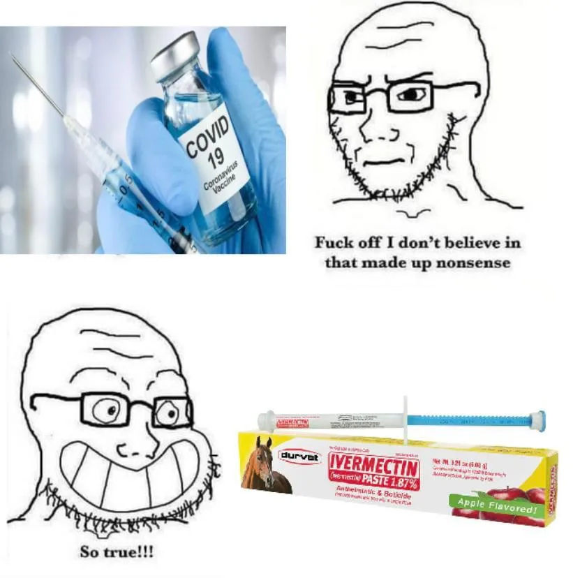 Ivermectin meme