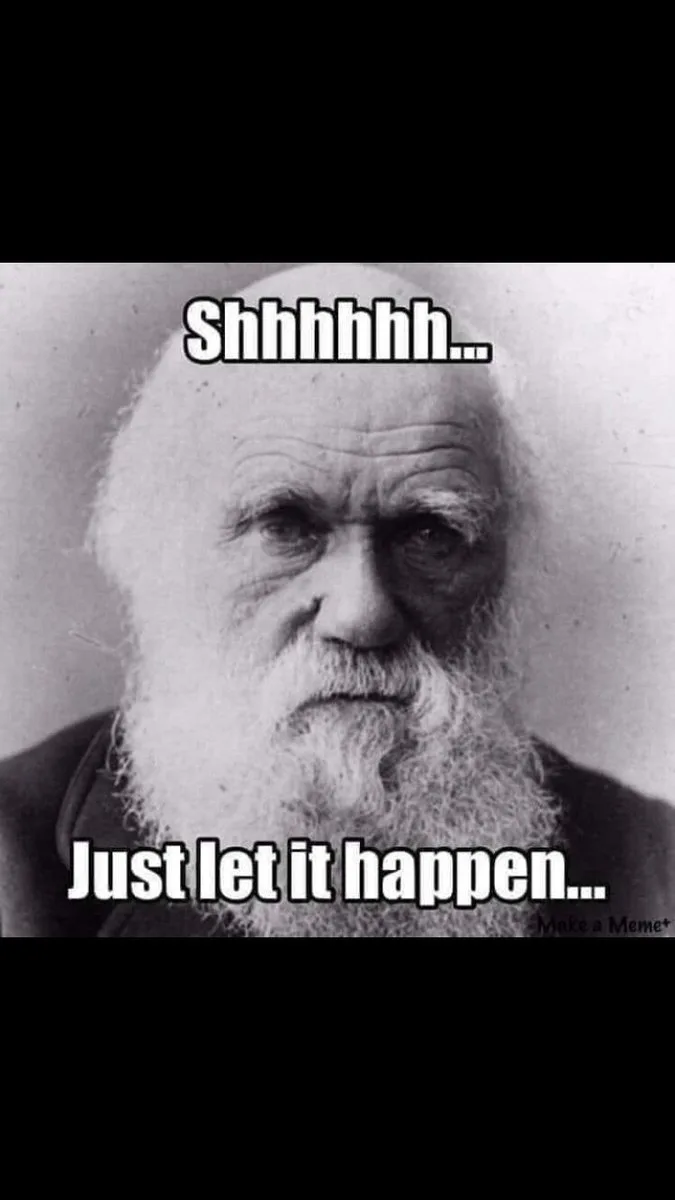 Ivermectin meme