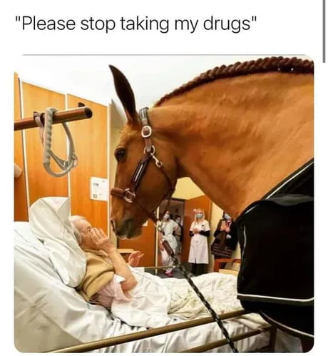 Ivermectin meme