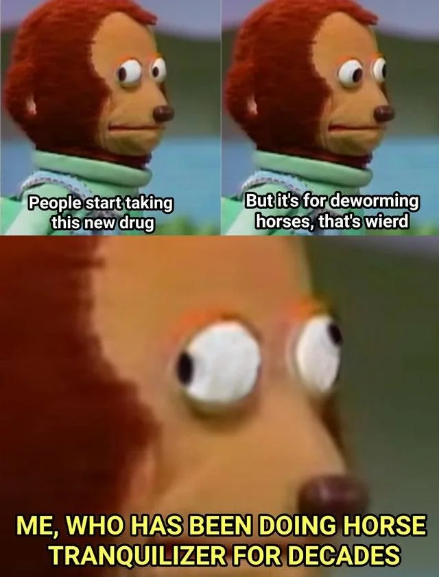 Ivermectin meme