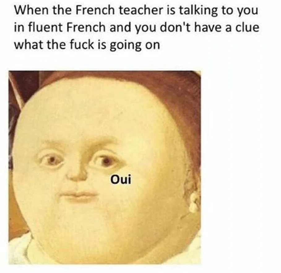 French (language) meme