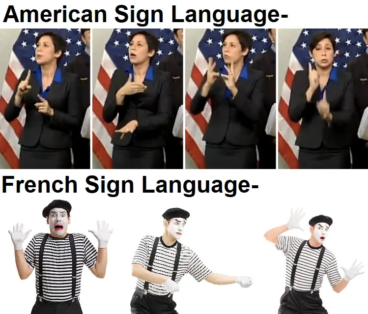 French (language) meme