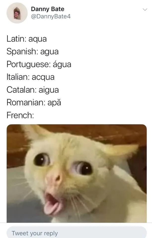 French (language) meme