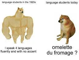French (language) meme
