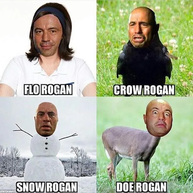 Joe Rogan meme