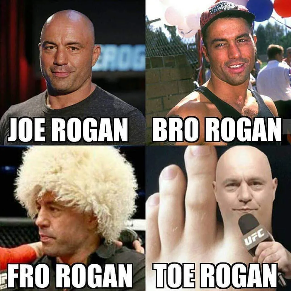 Joe Rogan meme