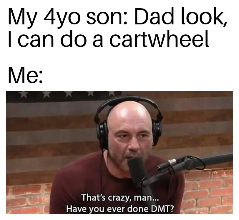 Joe Rogan meme
