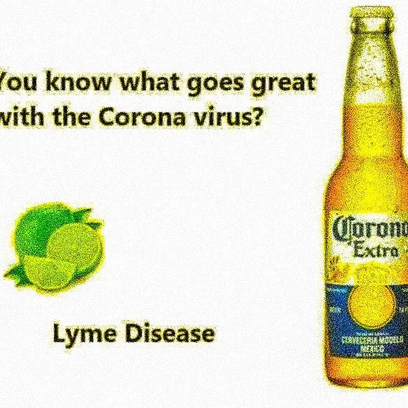 Corona Virus meme