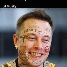 Elon Musk meme