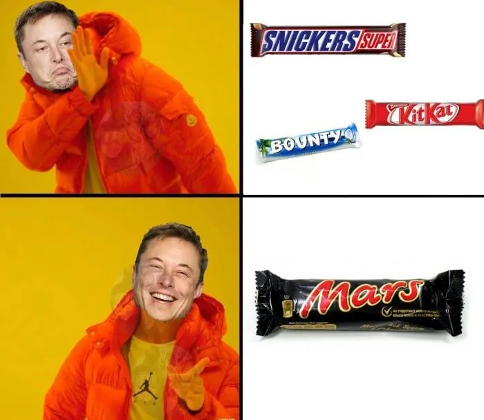 Elon Musk meme