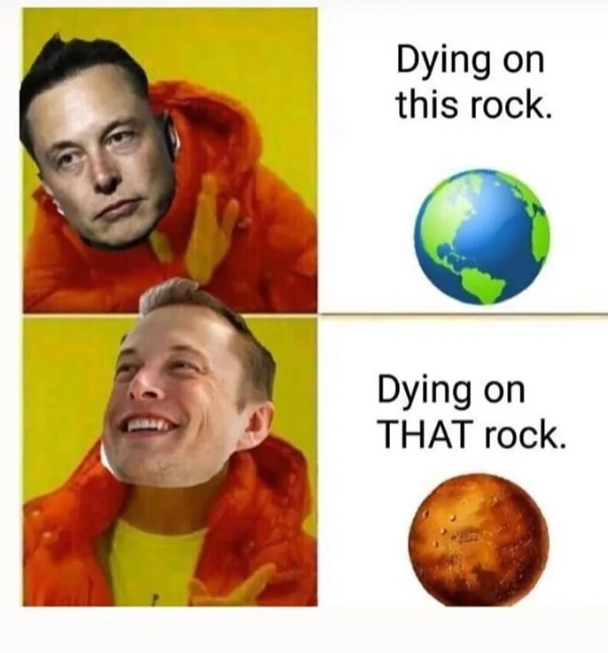 Elon Musk meme