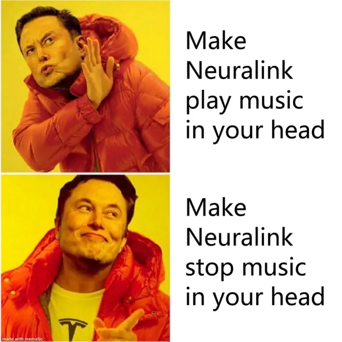 Elon Musk meme