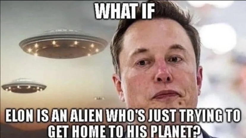 Elon Musk meme