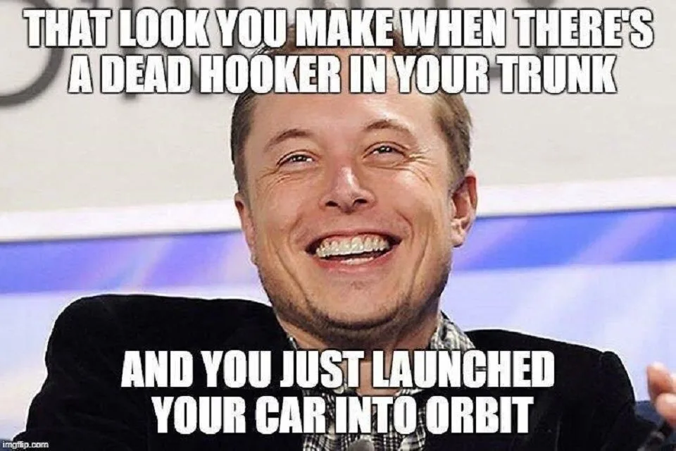 Elon Musk meme