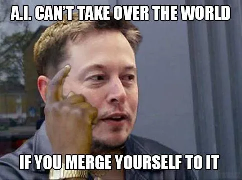 Elon Musk meme