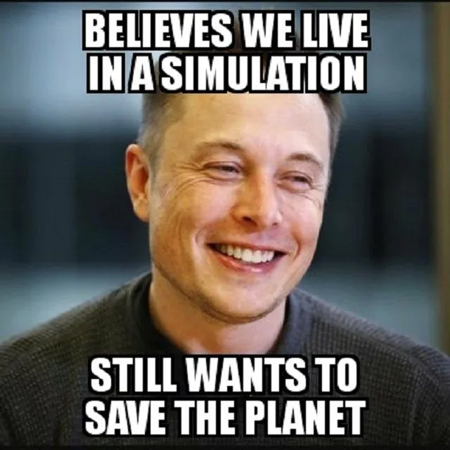 Elon Musk meme