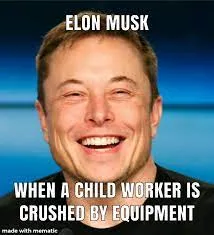 Elon Musk meme
