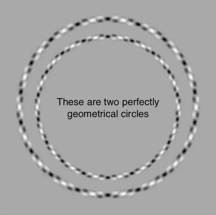 optical illusion meme