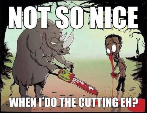 nose meme