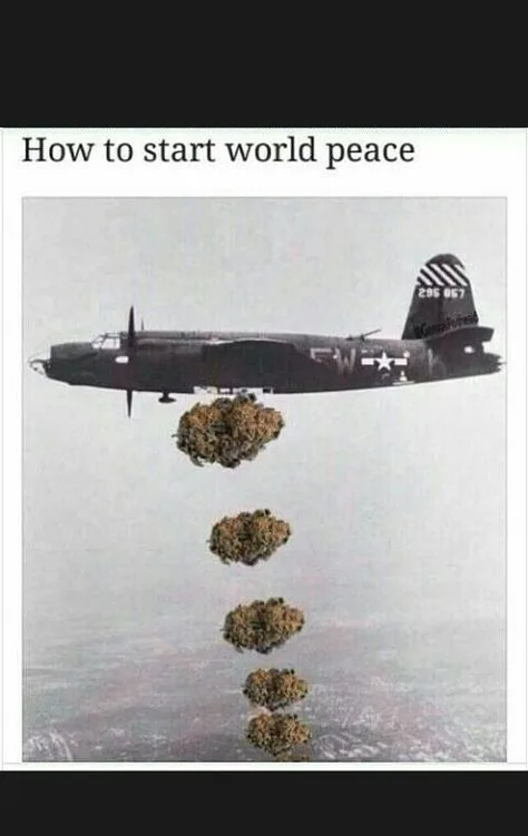 marijuana meme
