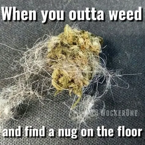 marijuana meme