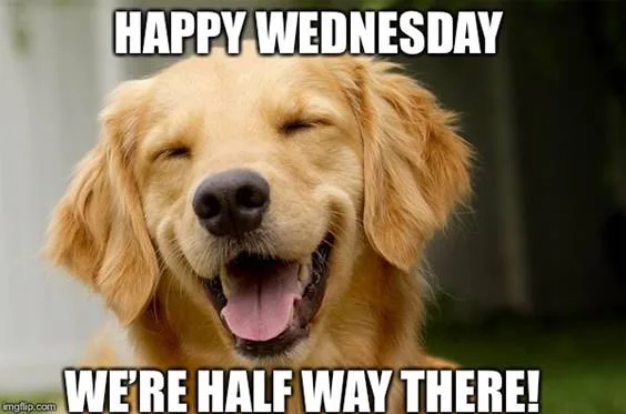 Wednesday meme
