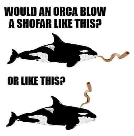 shofar meme