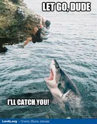 shark meme