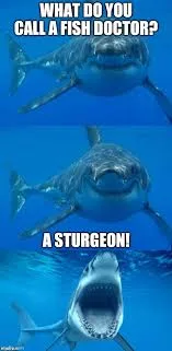 surgeon meme