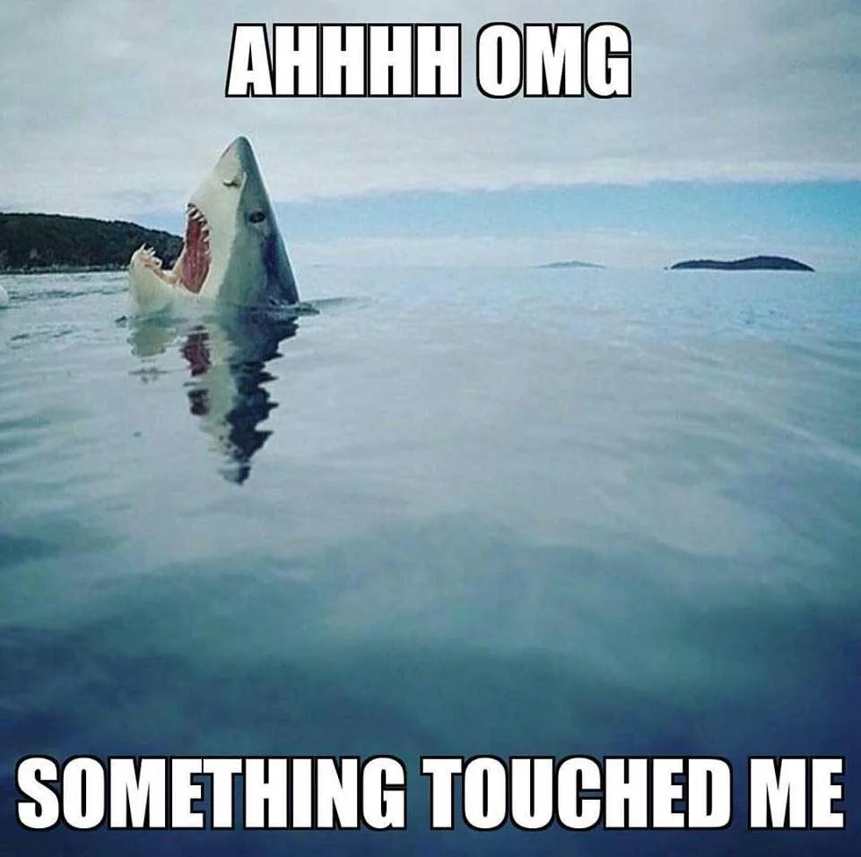 swimming meme