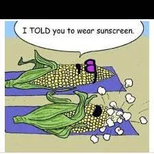beach meme