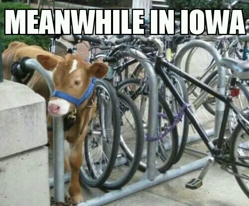 Iowa meme