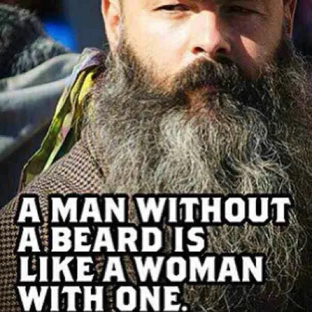 beard meme