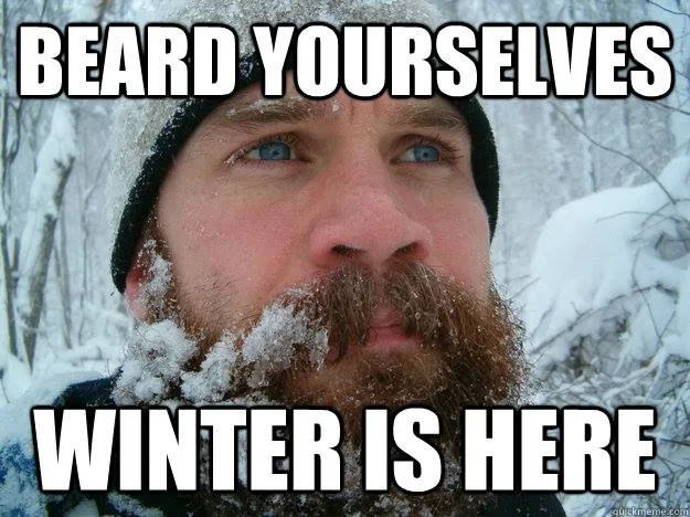 beard meme
