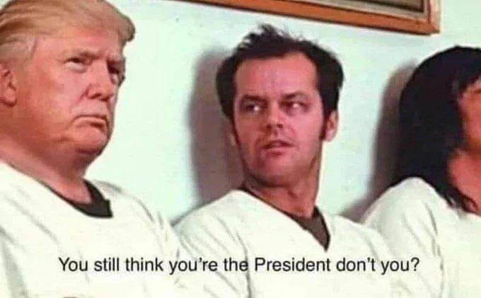 Donald Trump meme