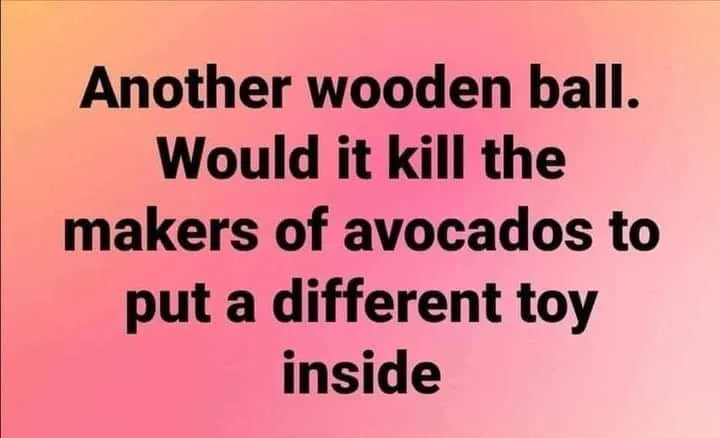 avocado meme