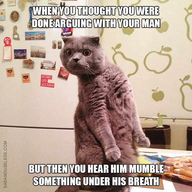 domestic quarrel meme