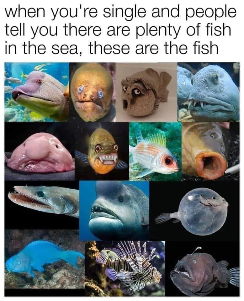 online dating meme