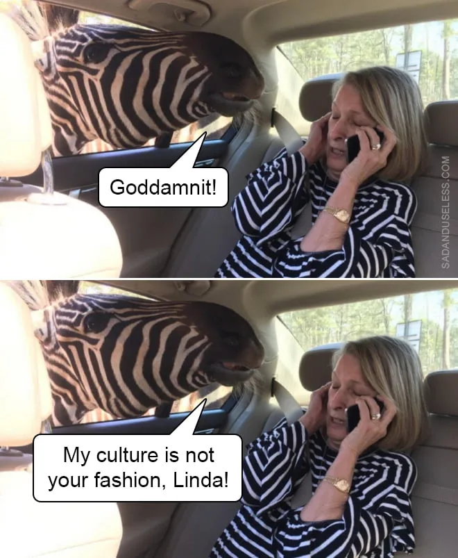 cultural appropriation meme