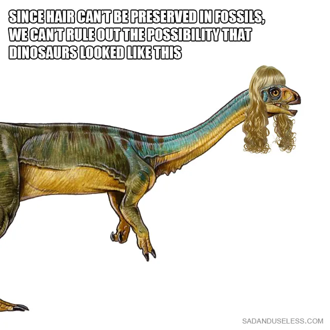 fossil meme