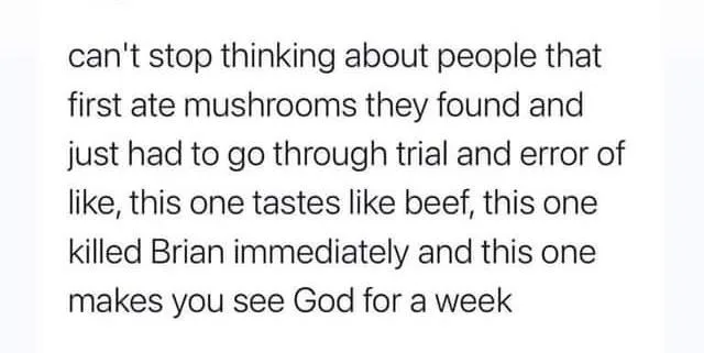 mushroom meme