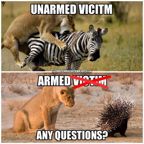 gun meme