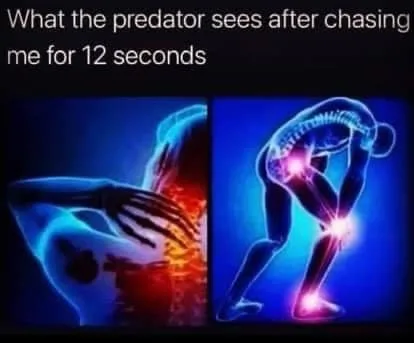 pain meme