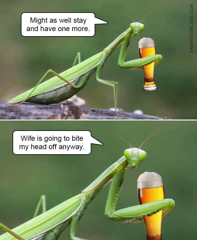 drinking meme