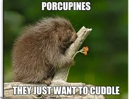 cuddling meme