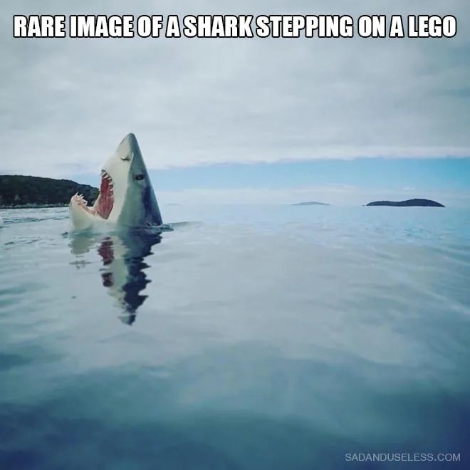 Lego meme